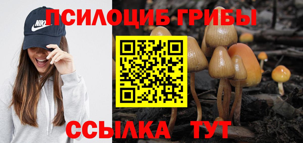 где купить наркоту  Галлюциногенные грибы ЛСД  Псилоцибиновые грибы Psilocybe  Вход с VPN  Копейск 